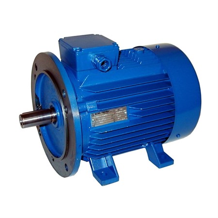 Electric motor